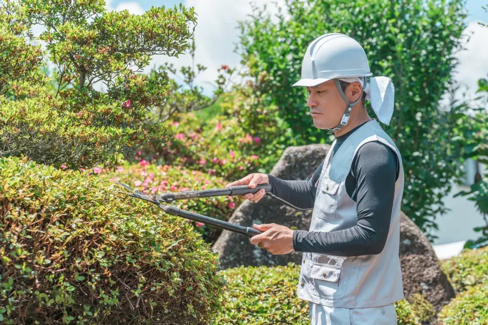 街づくり・環境づくりに関わる造園工募集（安定企業）