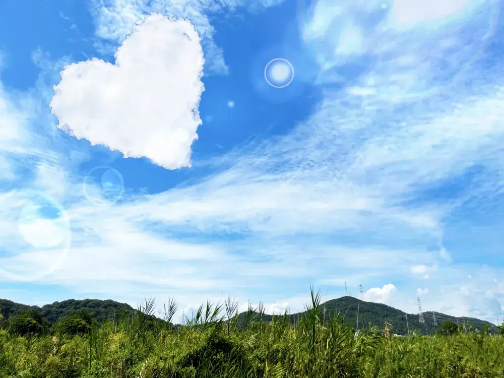 やりがいを実感！くじら中村事業所の職業訓練員募集