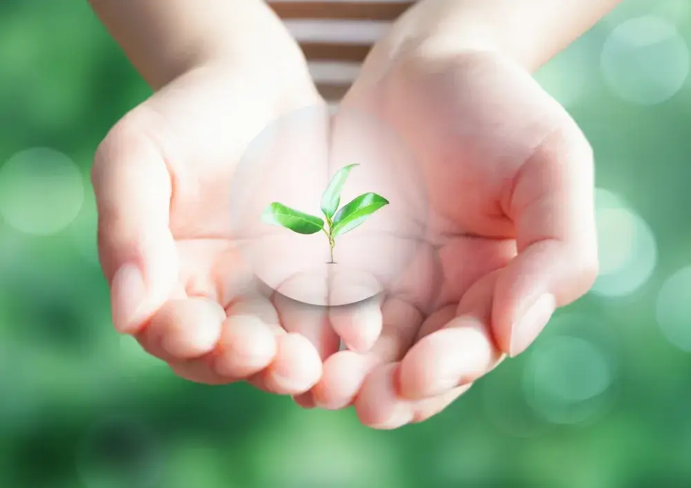 夜勤なし◎資格手当支給|サービス管理責任者